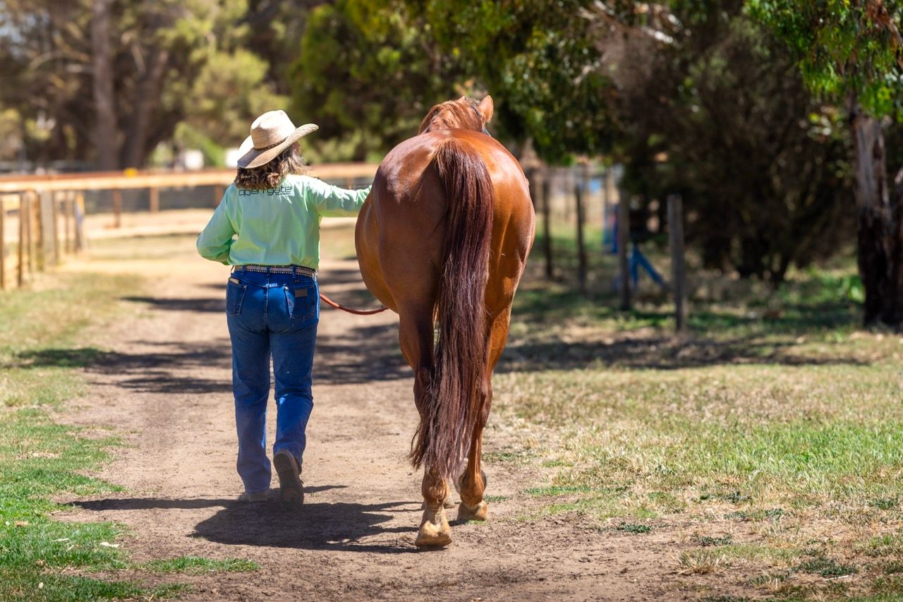 instructor leading a horse