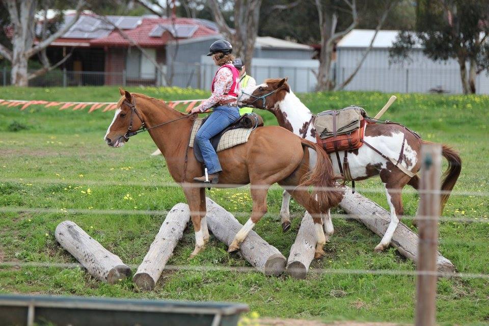 rider on horse back leading a pack horse through an obstacle course