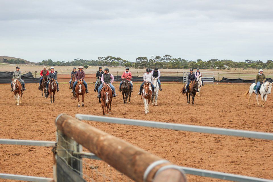 people riding horses in the cattle arena