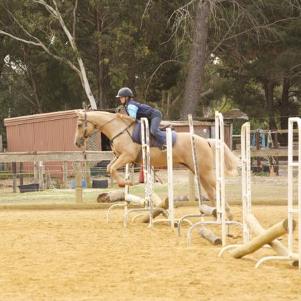 rider and horse jumping jumps in the outdoor arena