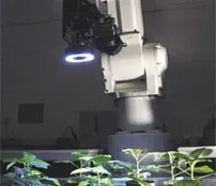 A robotic arm is reaching for a plant in a dark room.