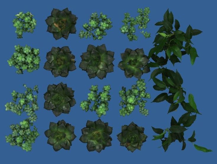 Multiple plants imaged with PhenoVation's multispectral plant phenotyping camera system, resulting in an RGB image for morphology analysis and color analysis. 