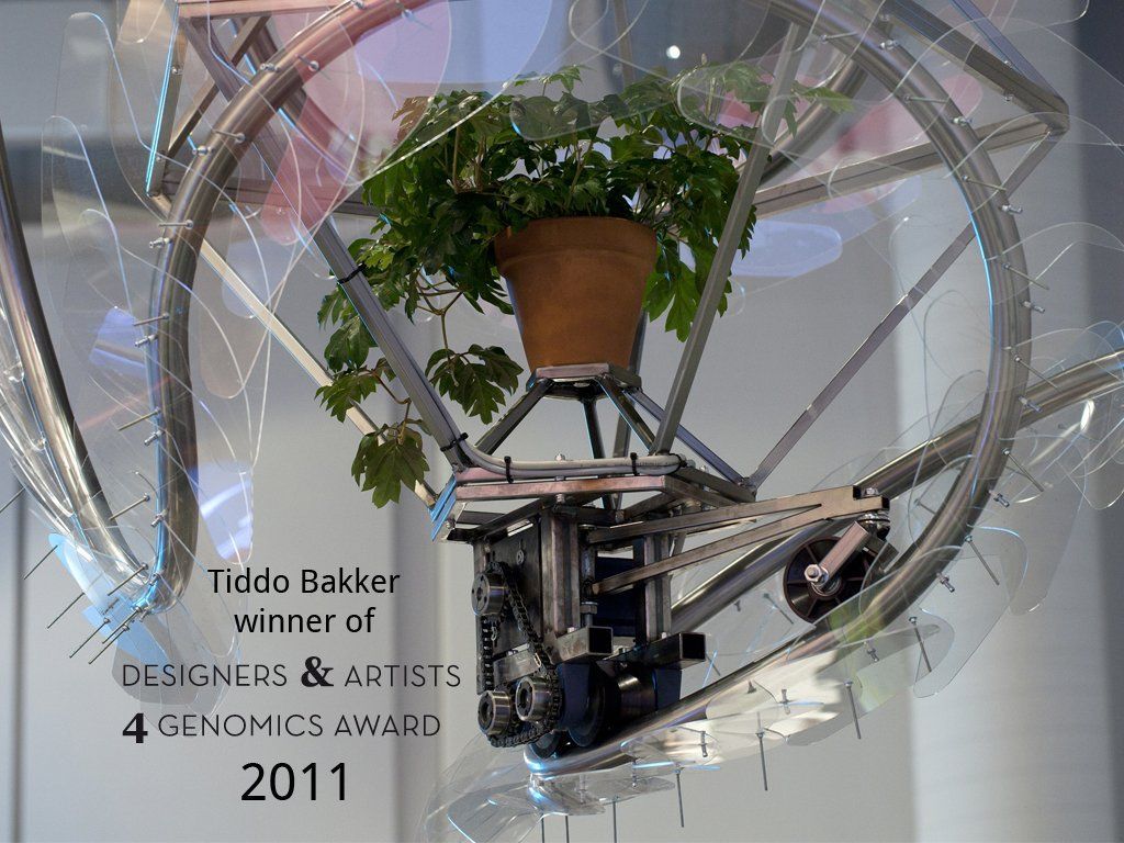 A picture of a plant with the year 2011 on it