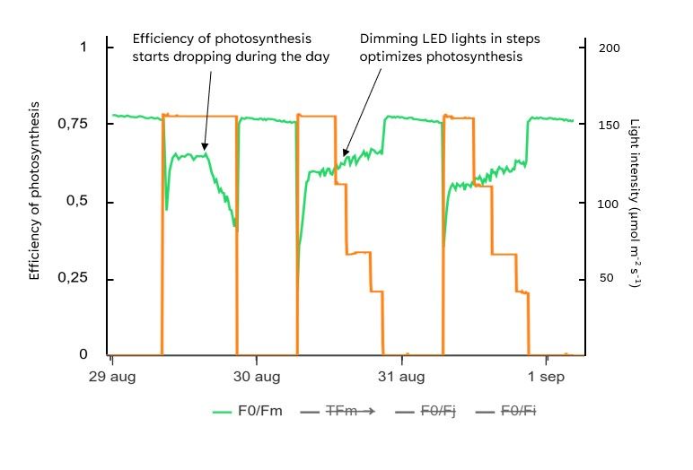 The efficiency of photosynthesis (Fv/Fm, Fq'/Fm') of phalaenopsis plants in an experiment under controlled conditions. The efficiency of photosynthesis decreases when light is constantly high the whole day. The efficiency recovers when the light is dimmed in steps. 