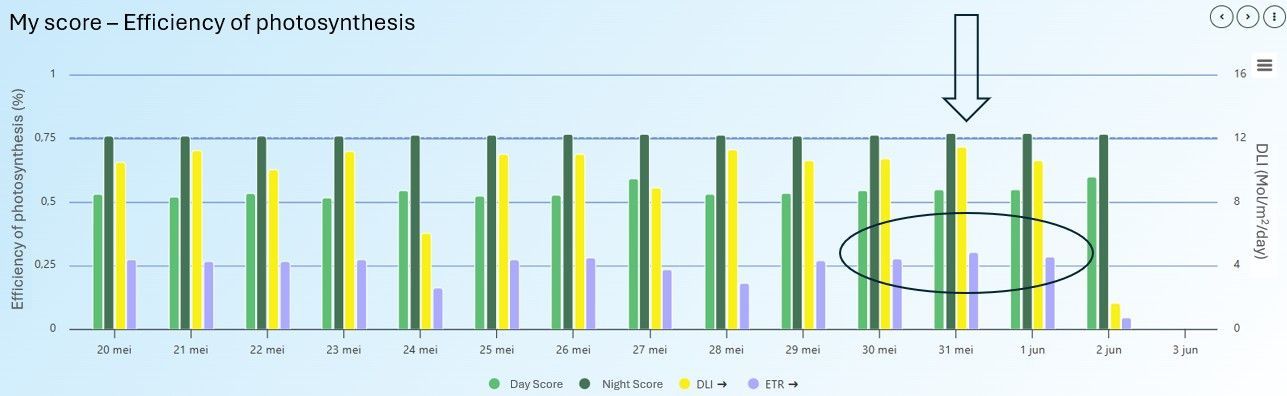 Figure of real-world data from the CF2GO in a commercial potplant greenhouse, showing the efficiency of photosynthesis in the night and in the day, as well as Daily Light Integral (DLI) and Electron Transport Rate (ETR). 