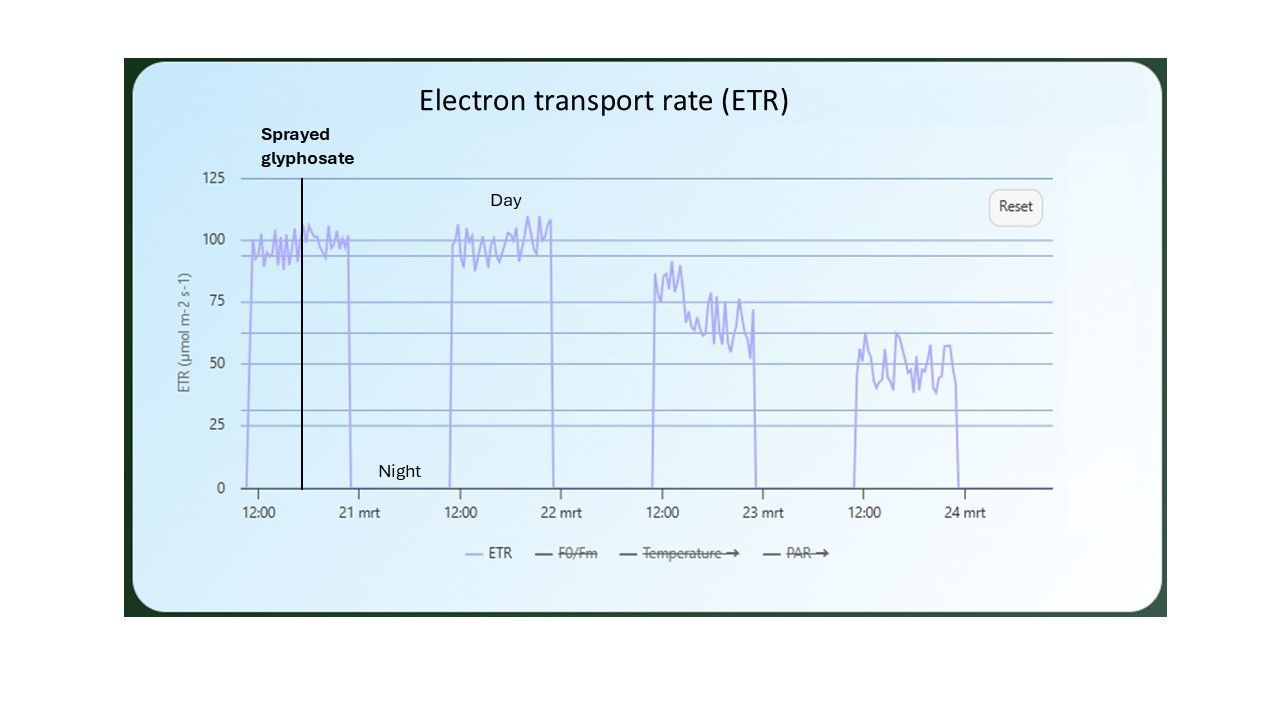 The effect of spraying herbicide (glyphosate) on the electron transport rate (ETR) of a soybean plant. Electron transport rate (ETR) decreases when stress is induced in the plant. 