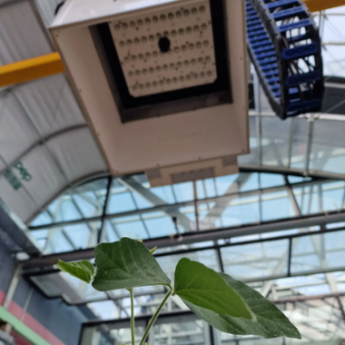 A gantry system with a camera system that can measure multispectral images of plants.