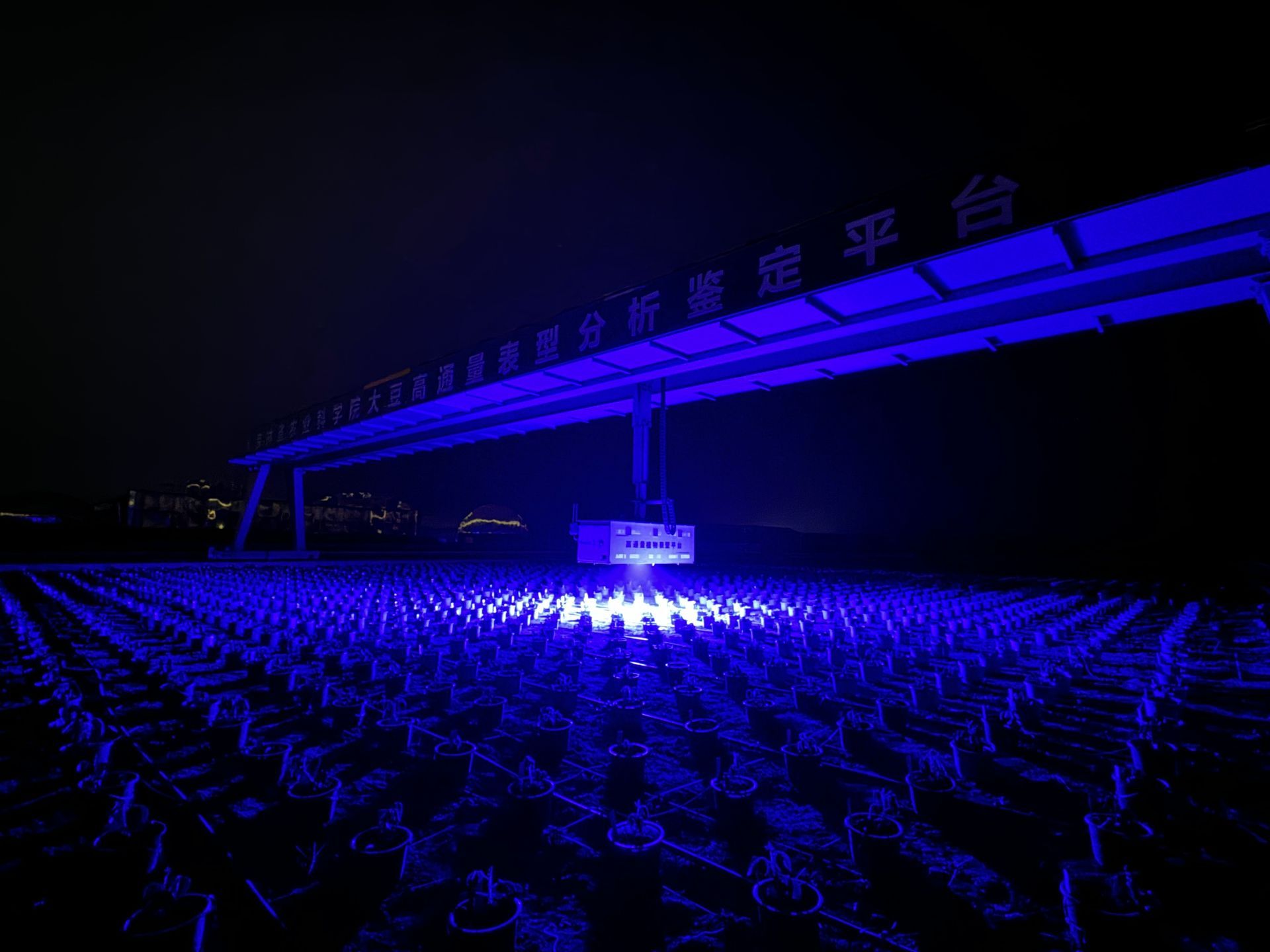 A automated plant phenotyping gantry in China using a PlantExplorer PRO+ system to measure the efficiency of photosynthesis in the field. 