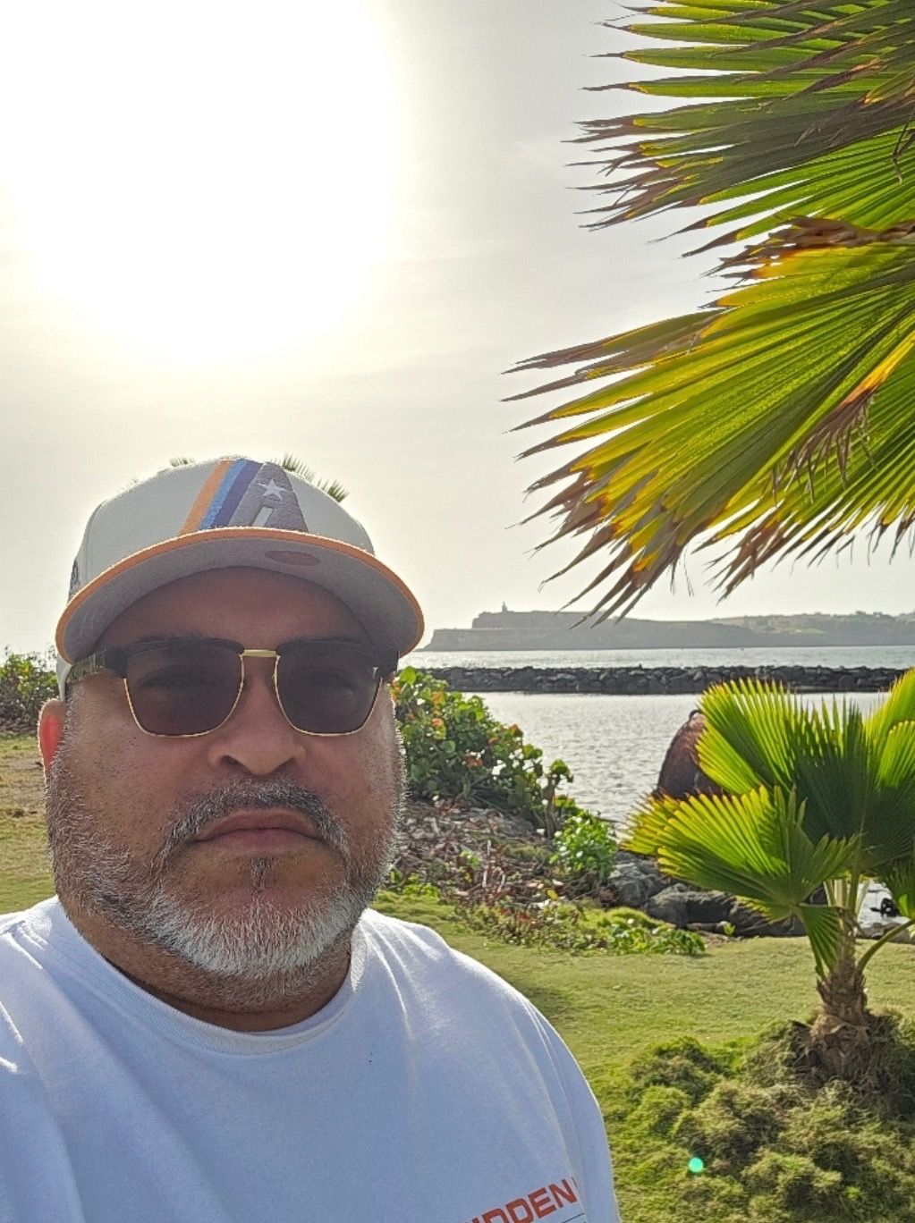Man wearing sunglasses and a hat near the ocean, with palm tree and distant coastline. Sunny day.