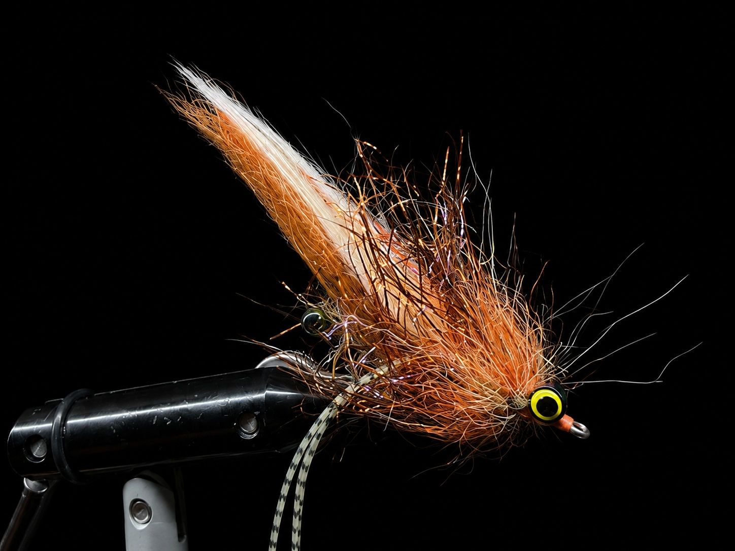 Pimp Shrimp (Rootbeer)