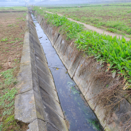 Concrete irrigation canal cutting through a field beside green crops under an overcast sky