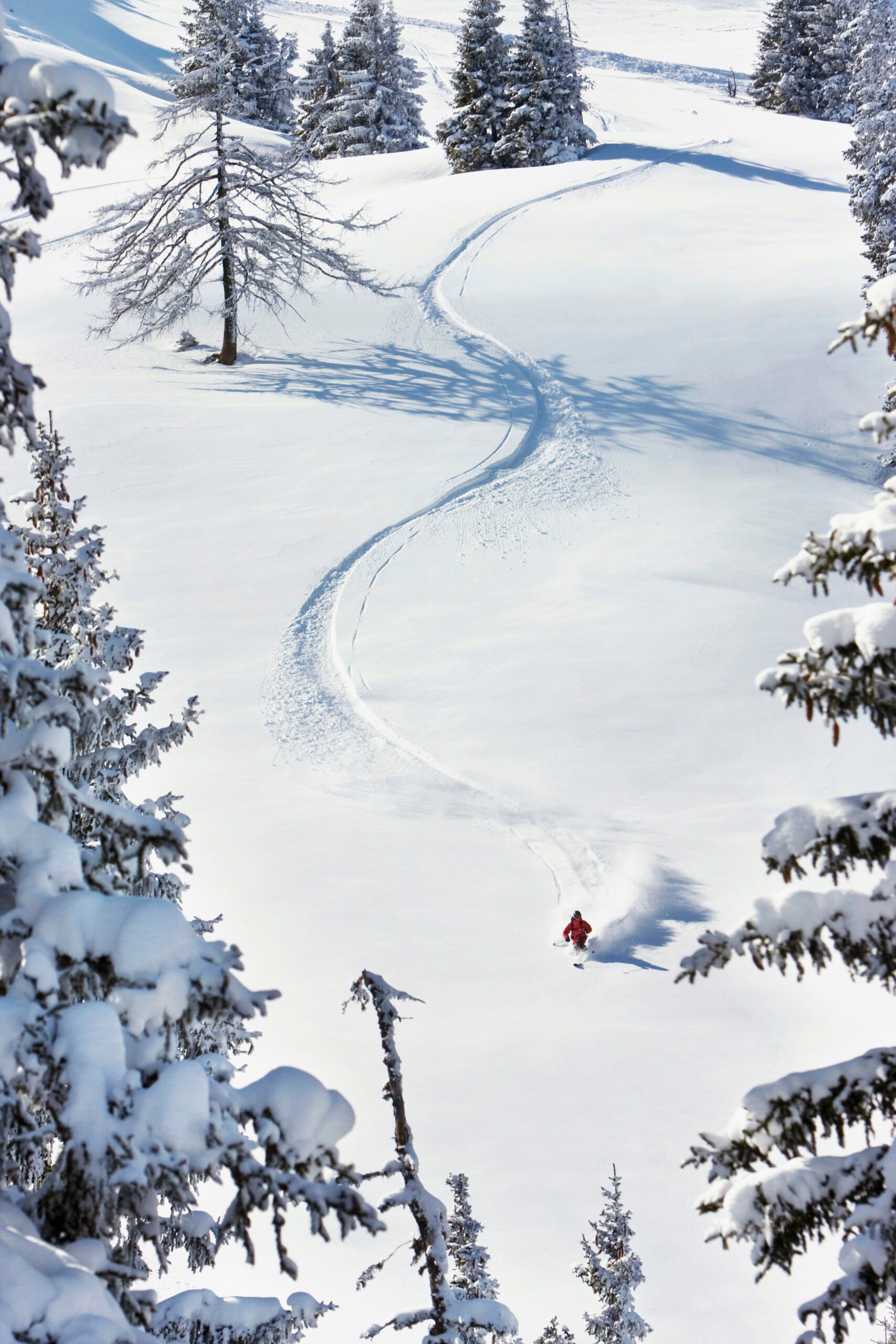 Utah Back Country Skiing Transportation