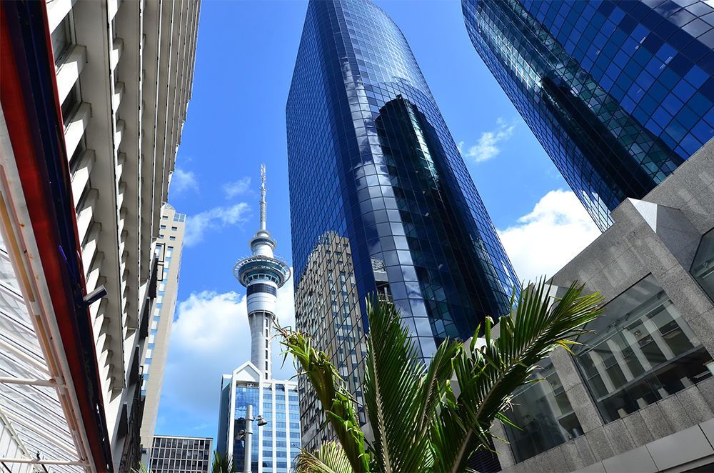 Looking up at a tall building in a city with palm trees in the foreground.