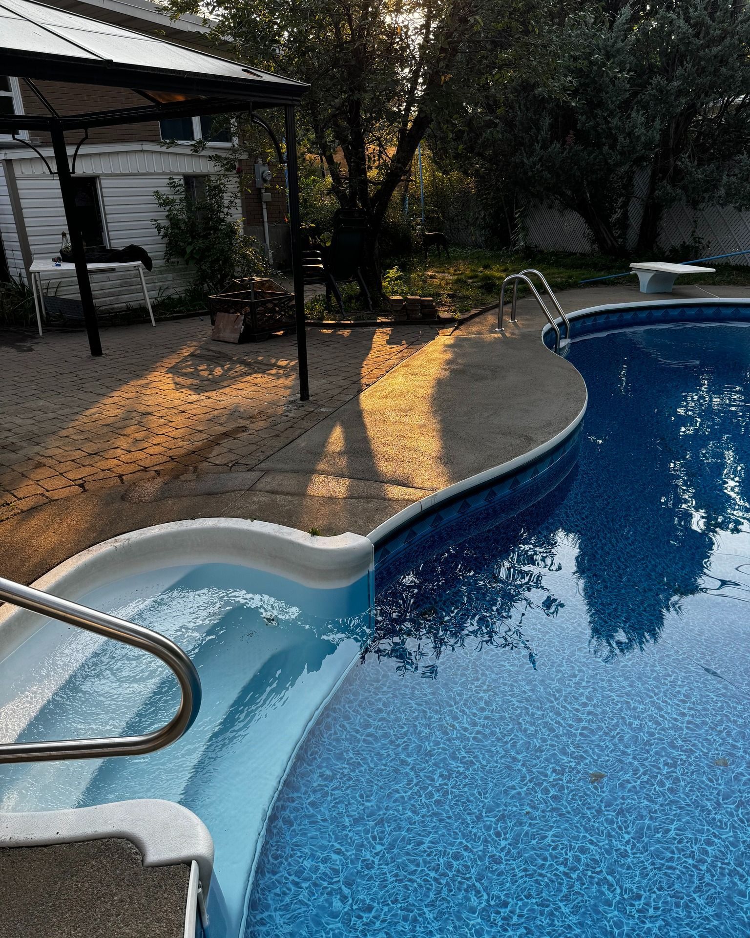Piscine dans le jardin avec un bassin de nage bleu incurvé et des marches blanches à côté d'une terrasse ombragée