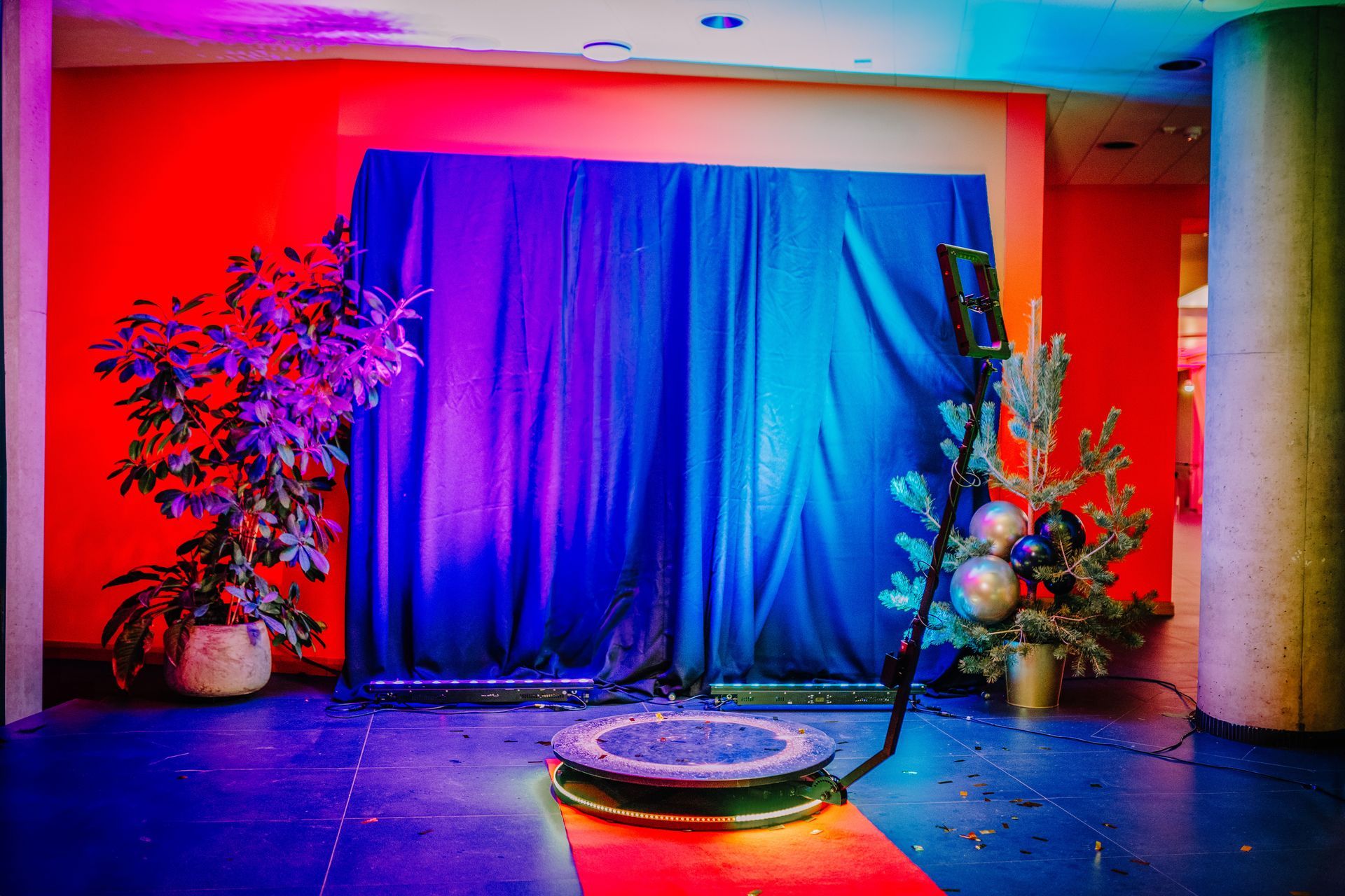 A room with a blue curtain and a christmas tree in front of it.