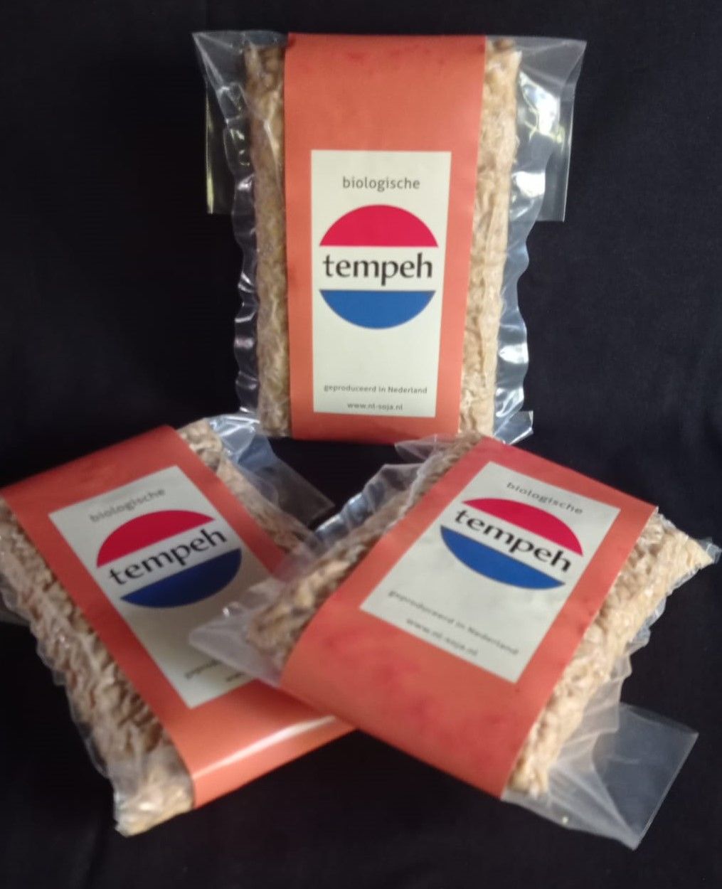 tempeh