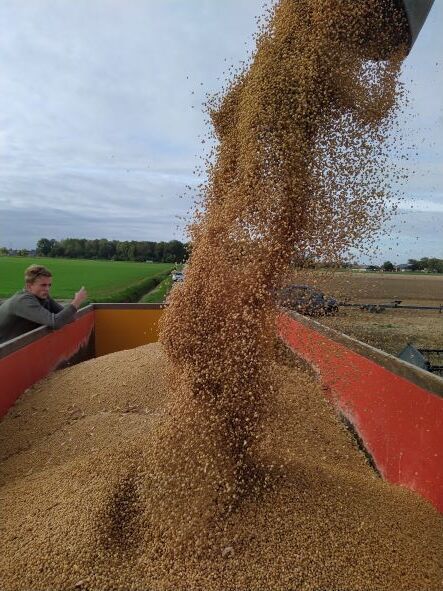 Biologische sojabonen kopen bij NL Soja. Onze korting is uw deflatie.
