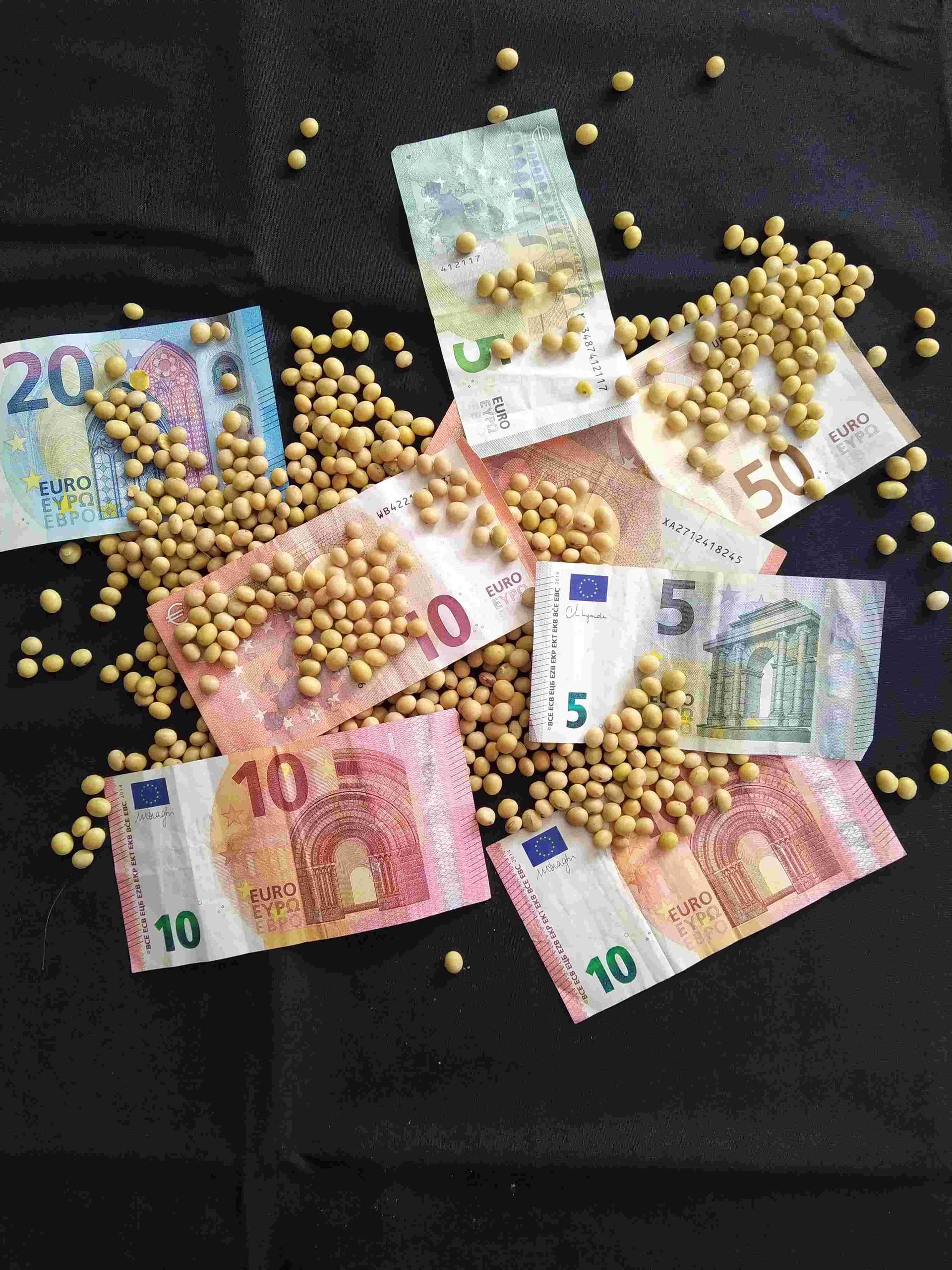 Duurzaam beleggen Duurzaam beleggen
