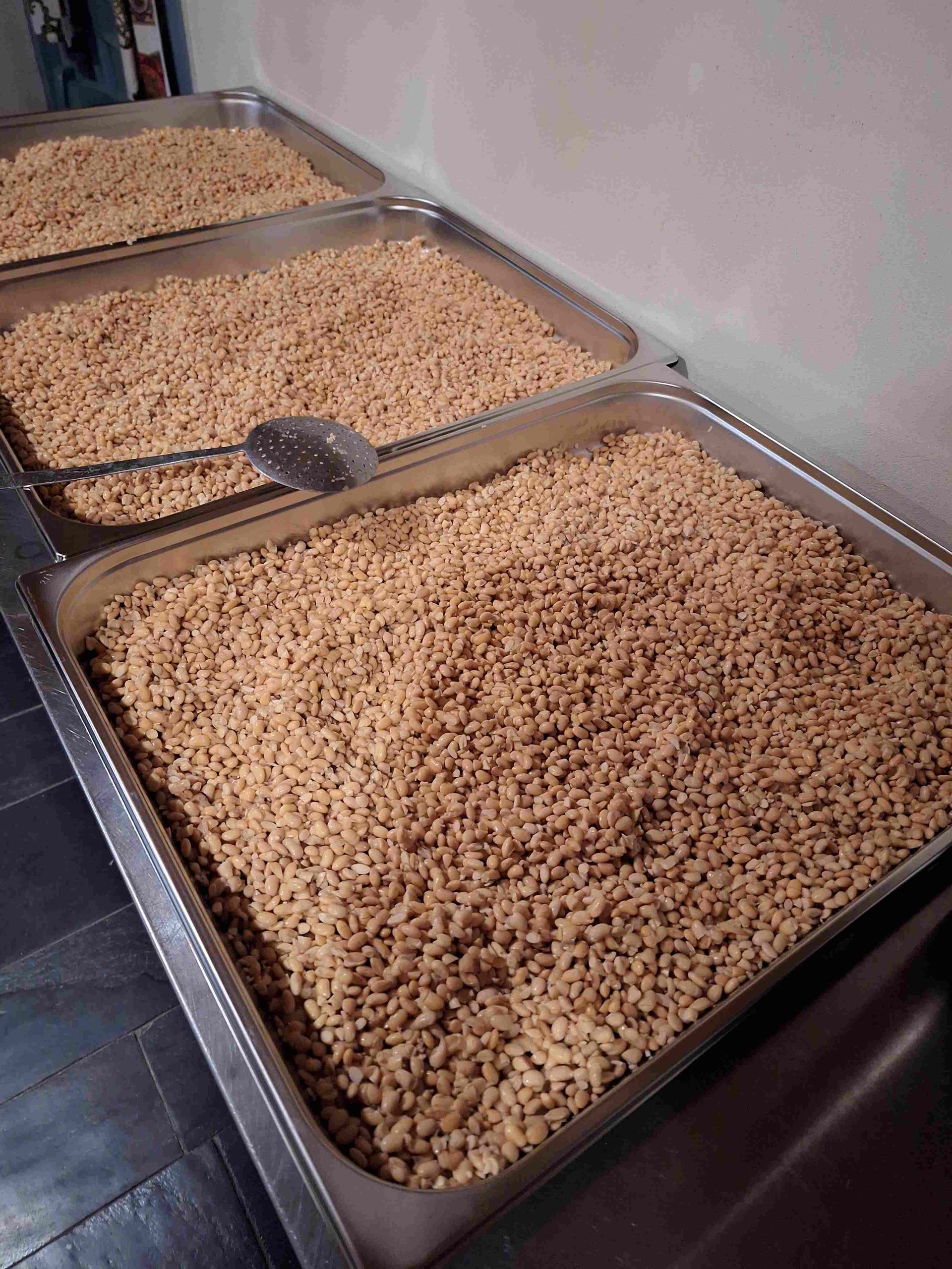 Verse tempeh | NL Soja BV