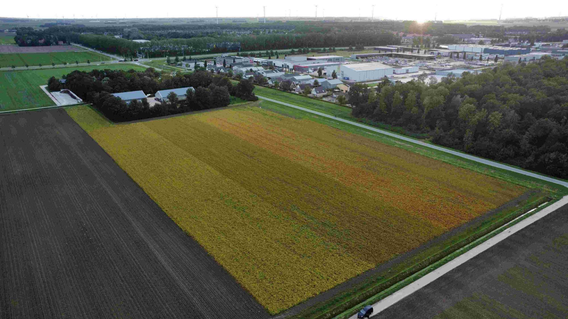 Perceel NL Soja BV 2023