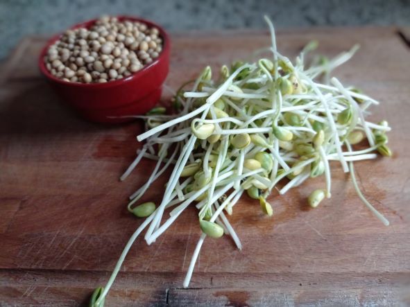Koken met biologische sojabonen NL Soja BV