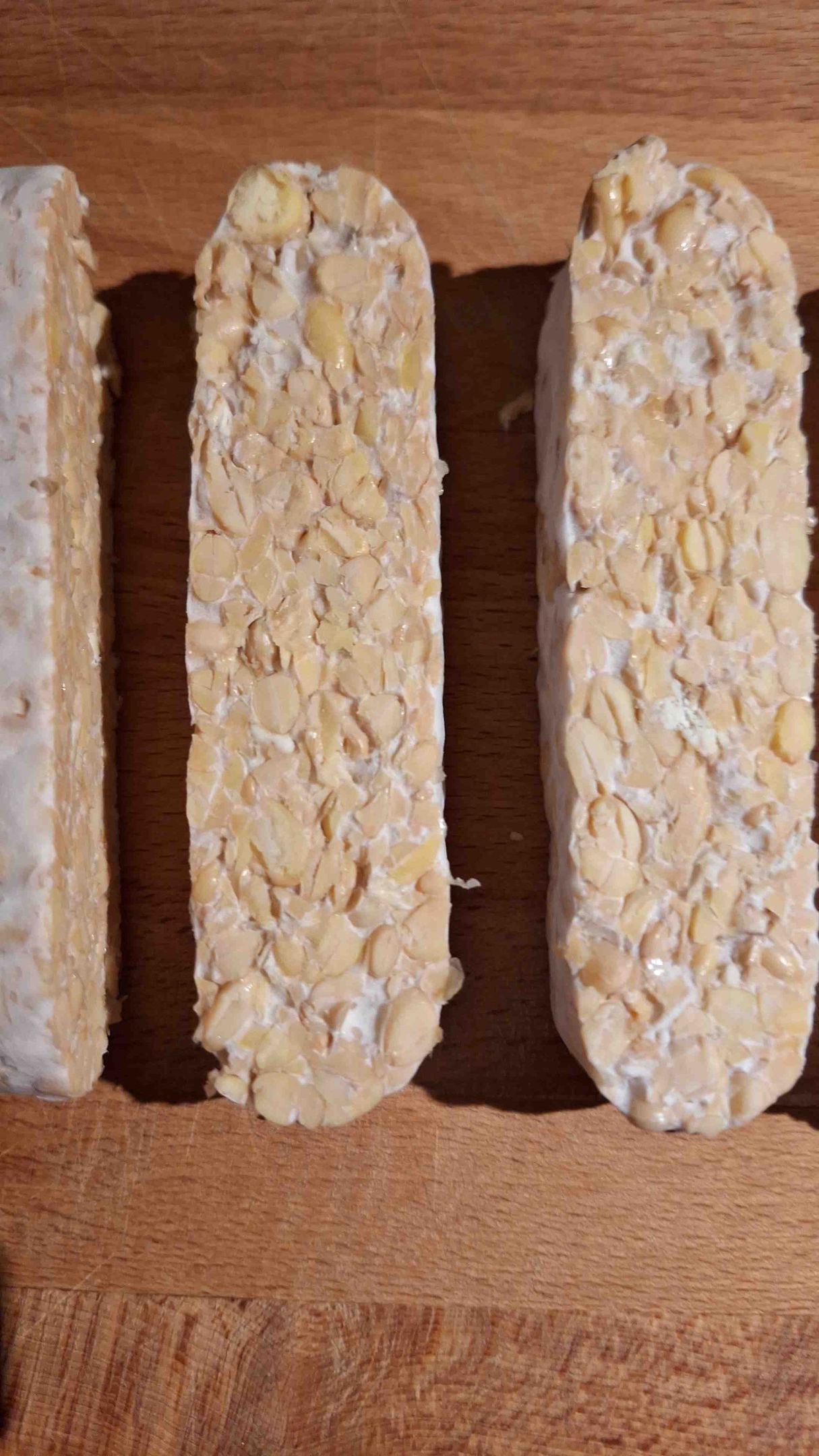 Verse tempeh