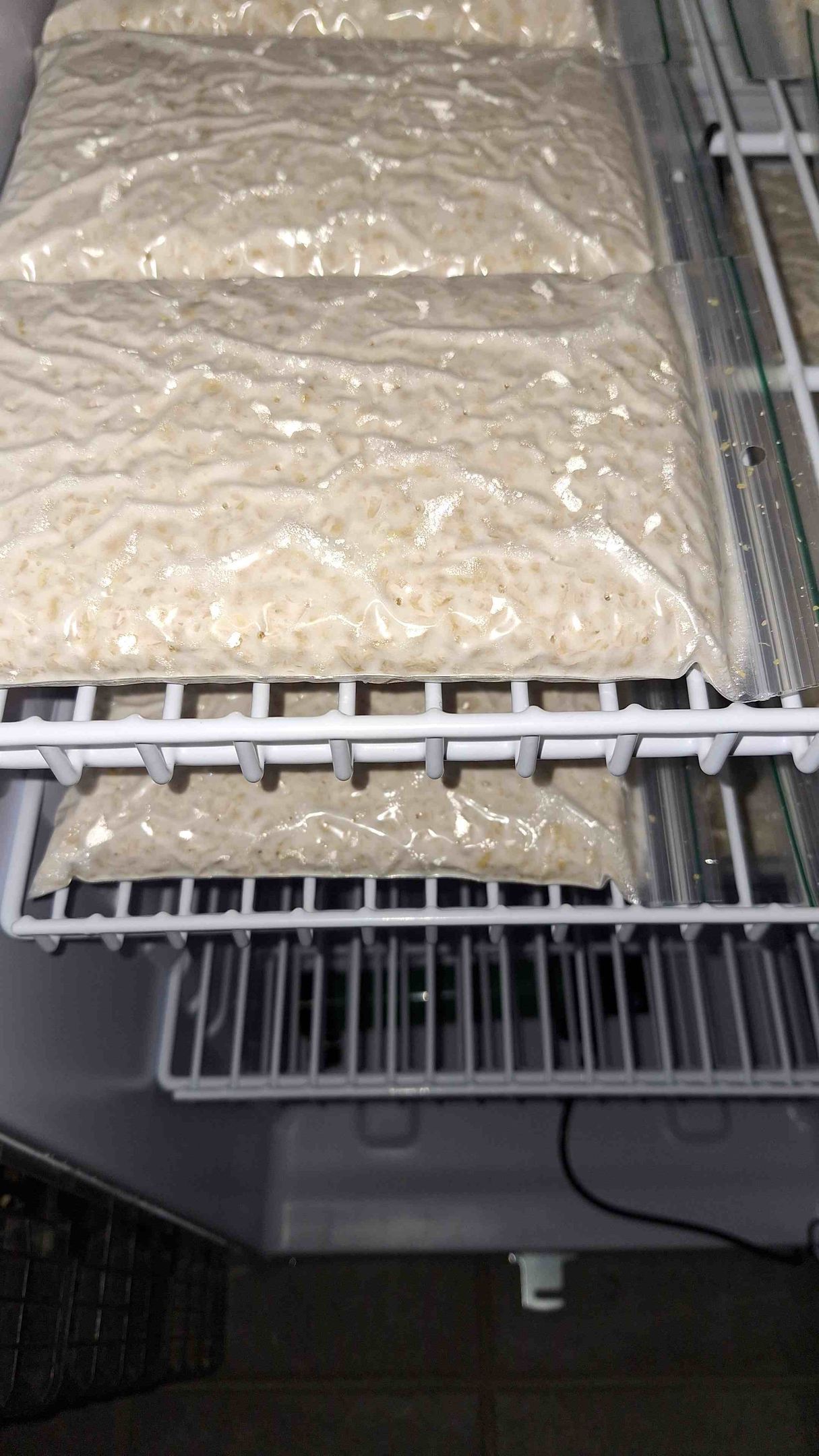 Verse tempeh | NL Soja BV