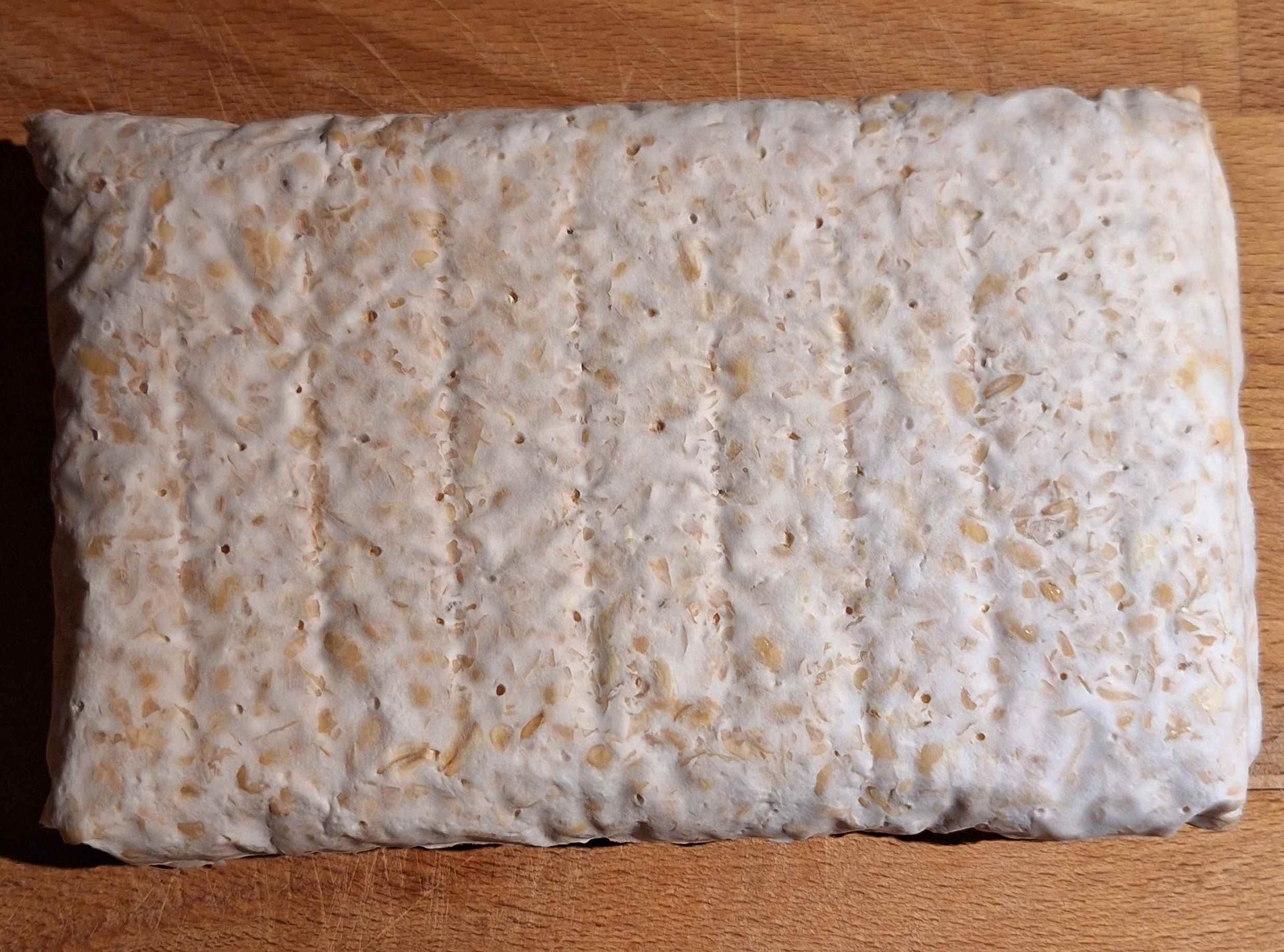Tempeh maken met de biologische sojabonen van NL Soja