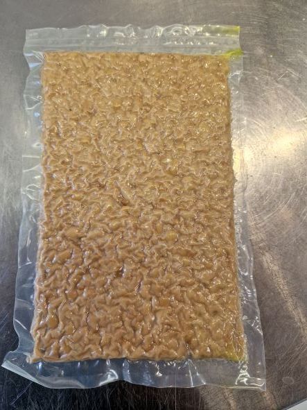 Tempeh van de biologische sojabonen van NL soja