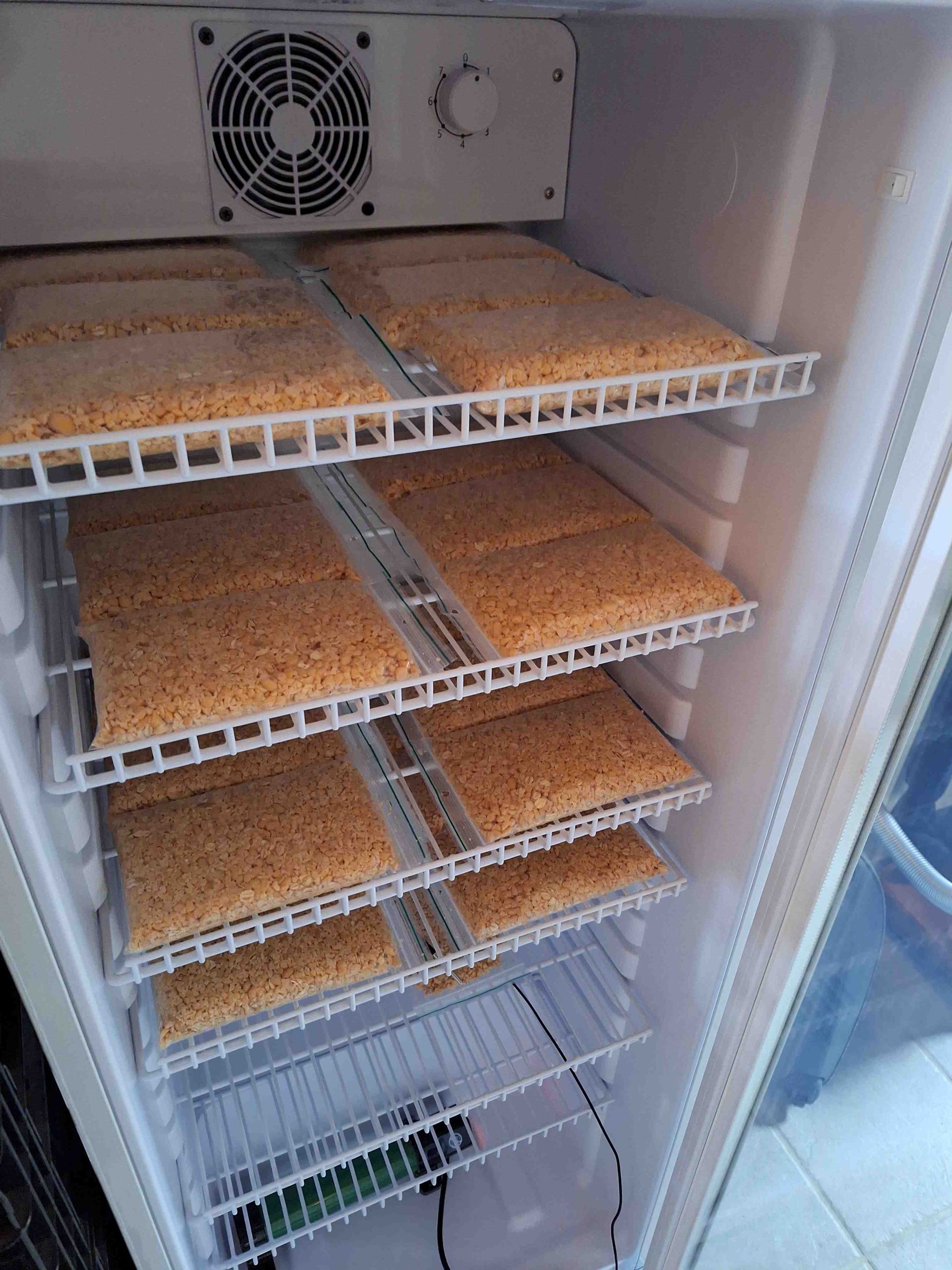 Verse tempeh | NL Soja BV