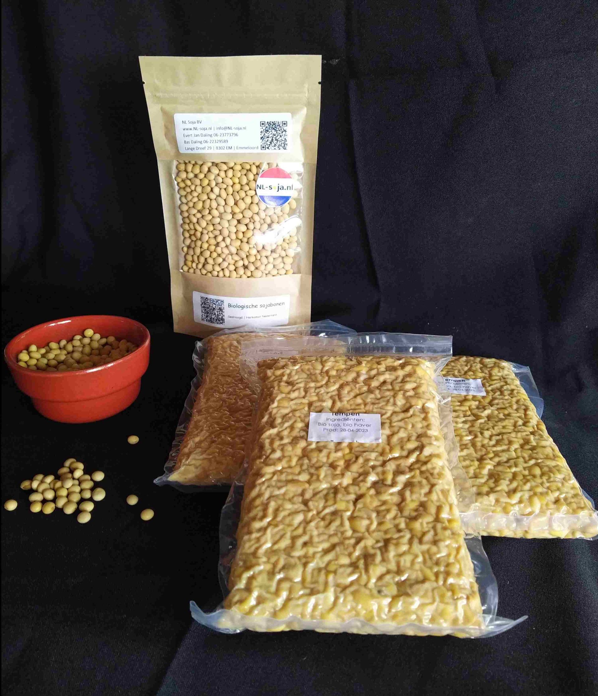 Biologische tempeh