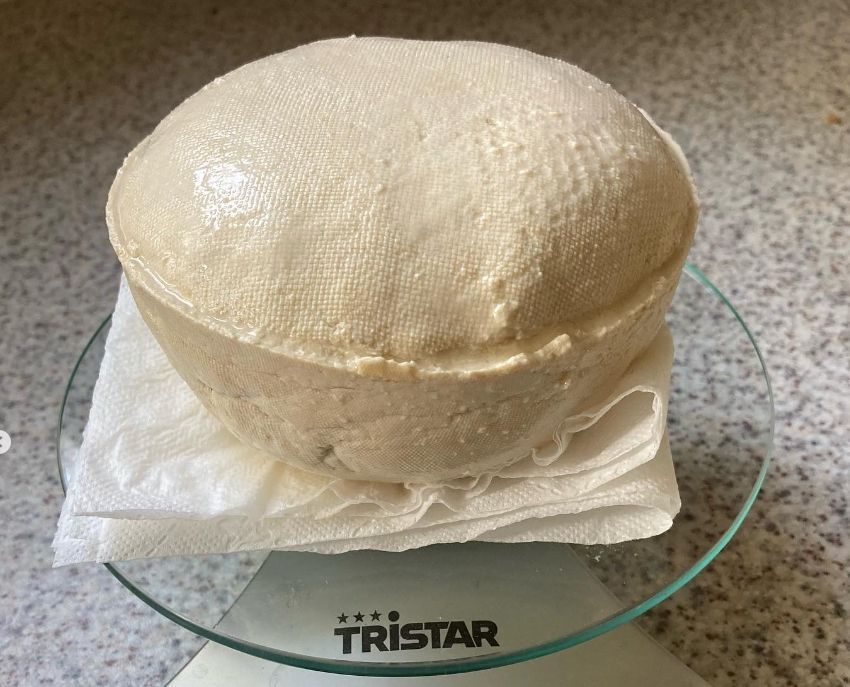 Biologische tofu