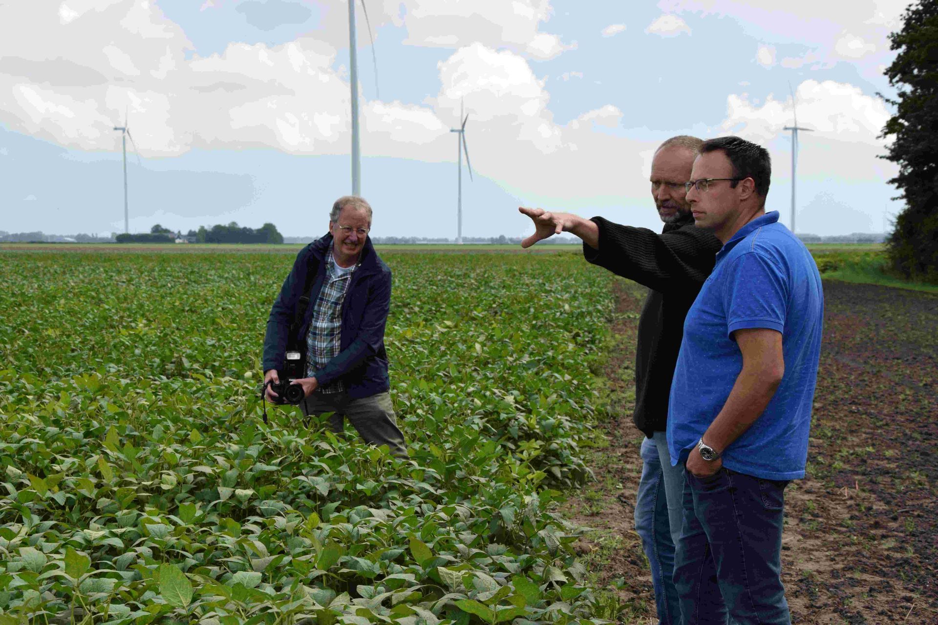 Biologisch sojameel van NL Soja BV