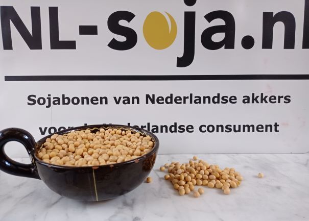 Gedroogde sojabonen van NL Soja