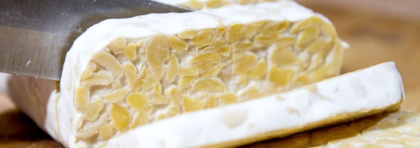 Tofu, Nederlandse sojabonen, sojamelk, tempeh, geroosterde sojabonen