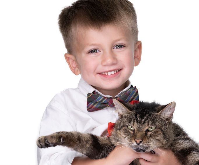 Smiling child in a plaid bow tie holding a fluffy cat against a white background