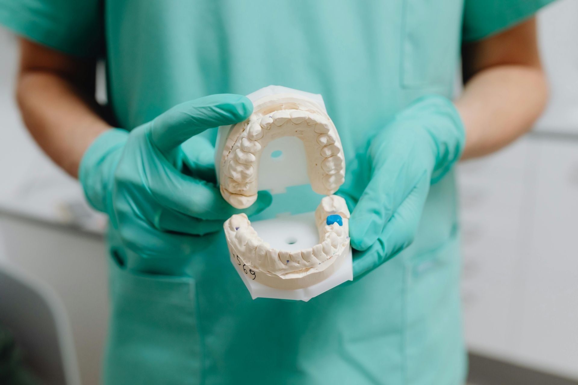 A dentist is holding a model of a tooth in his hands.