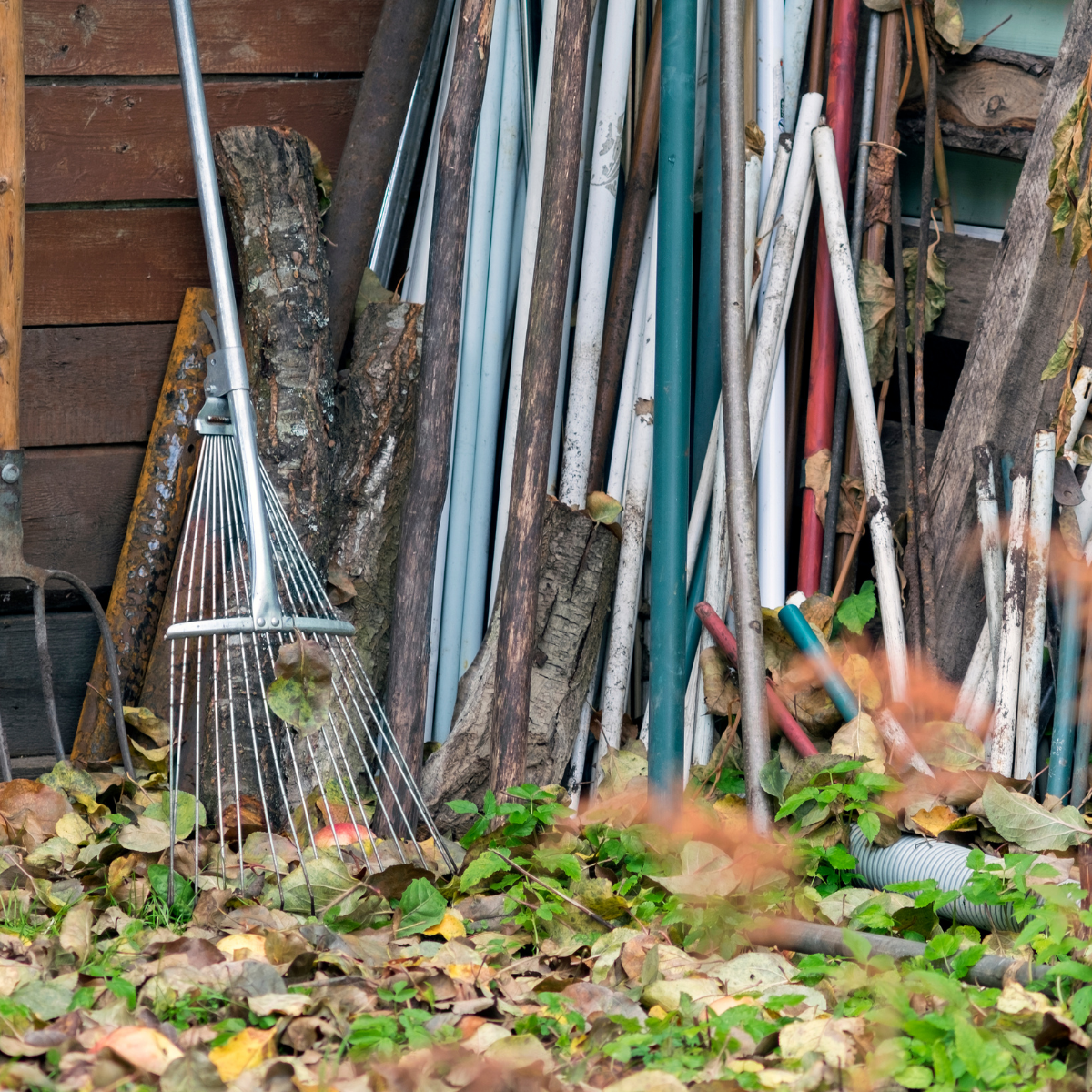 Cluttered backyard 