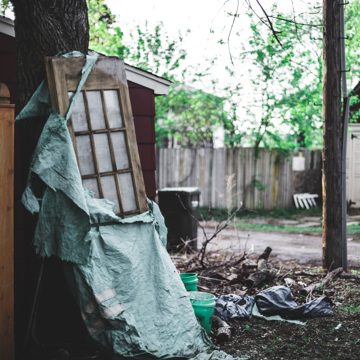 Backyard needs to be cleaned up.
