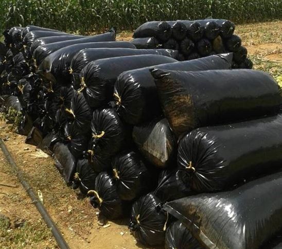 Bolsas para silo