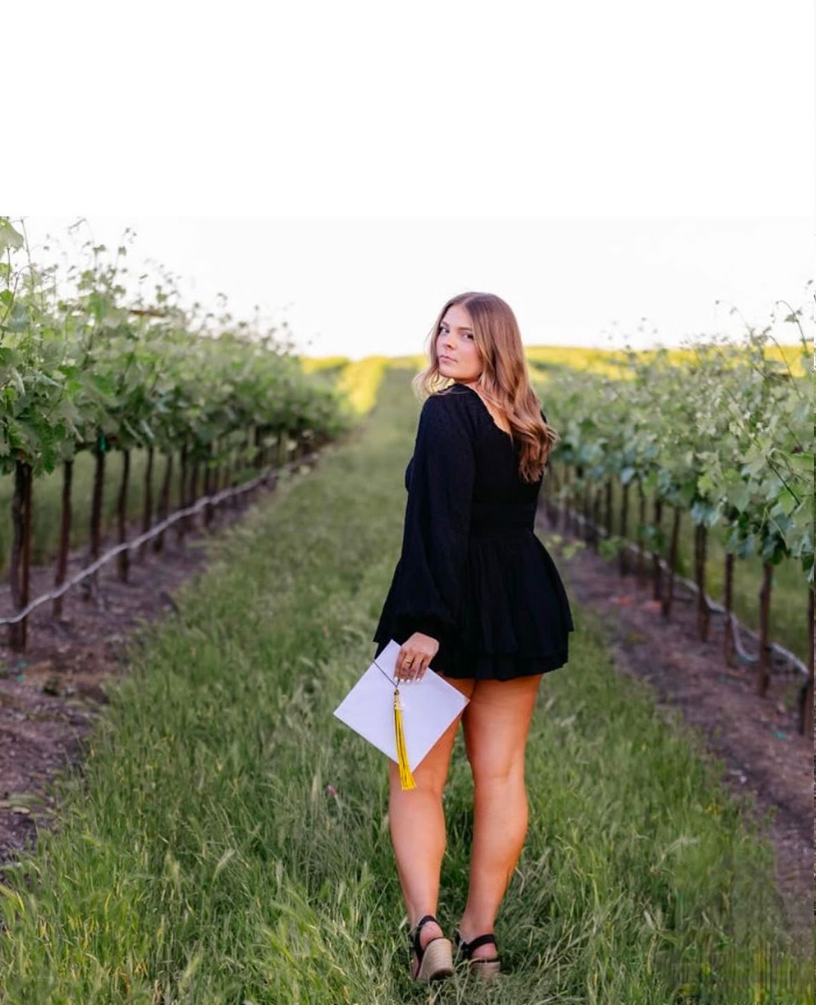 Zamora Hills Ranch vineyard wedding venue with panoramic countryside views in Northern California.