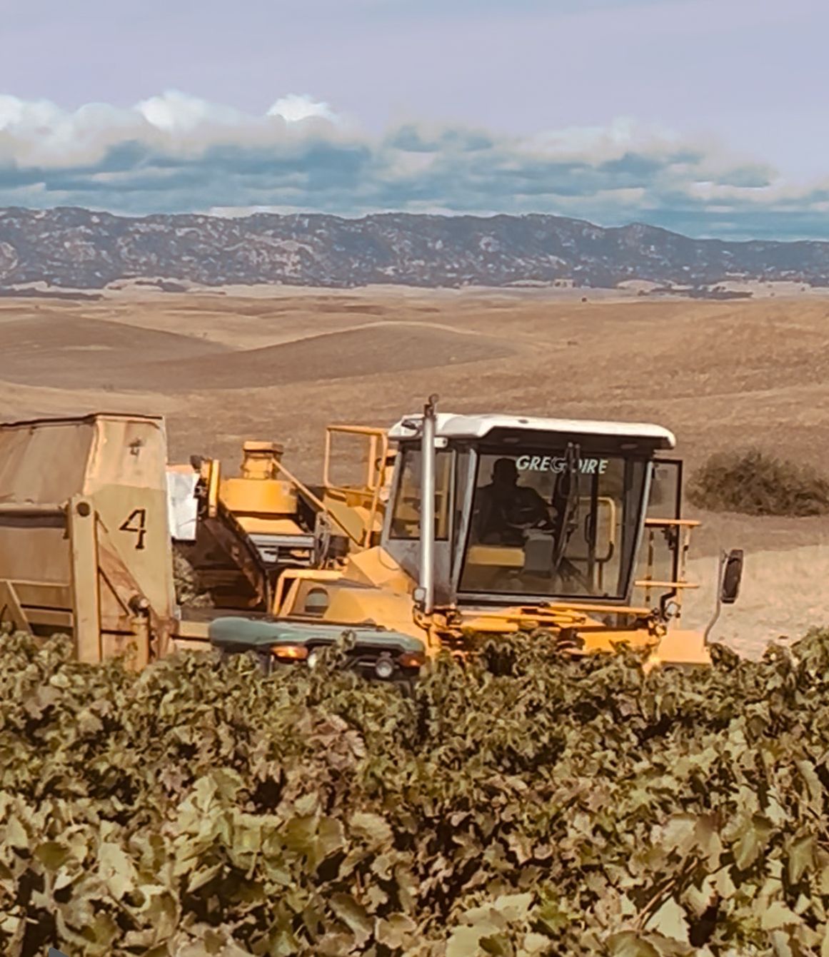 Zamora Hills Ranch vineyard wedding venue with panoramic countryside views in Northern California.
