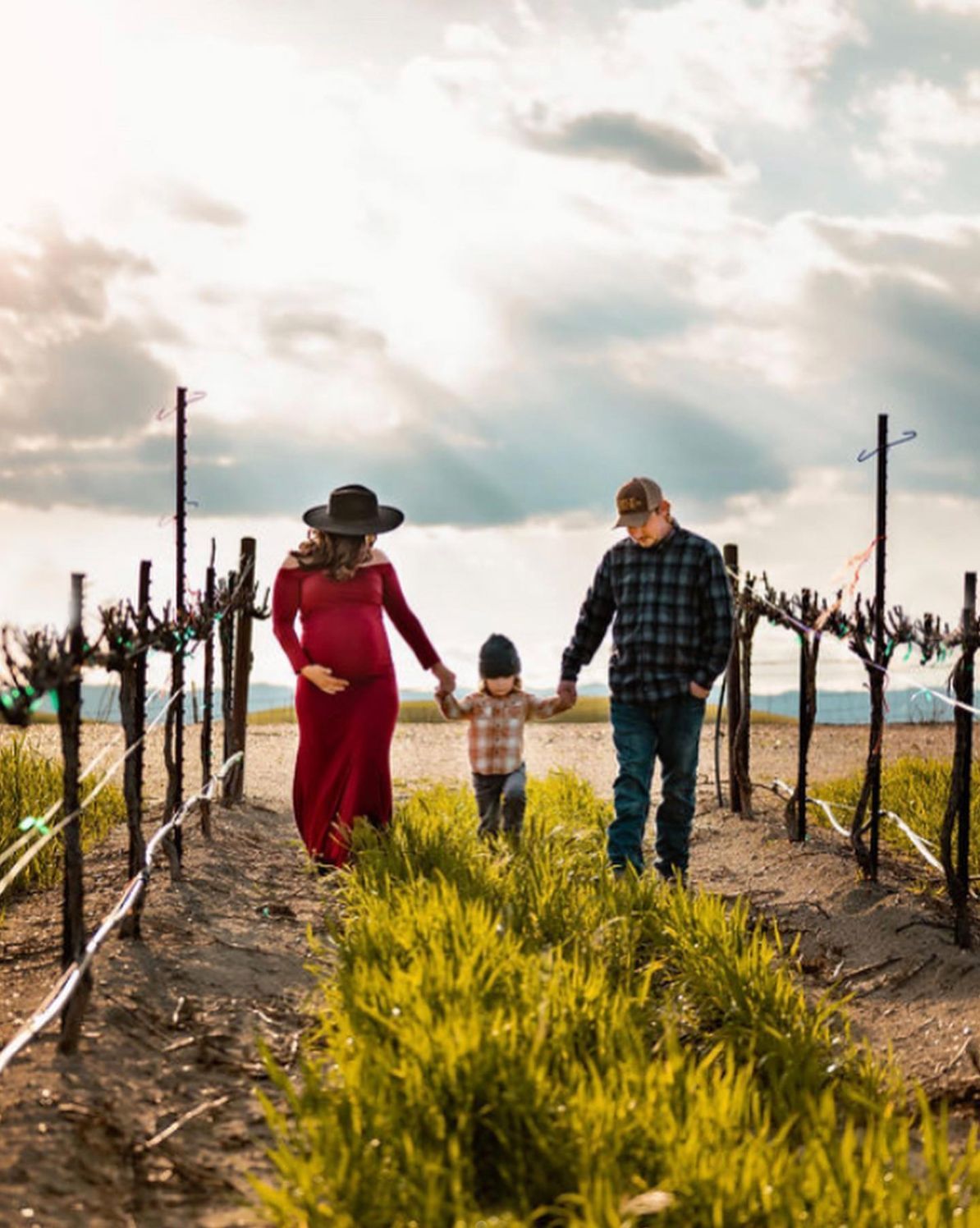 Zamora Hills Ranch vineyard wedding venue with panoramic countryside views in Northern California.