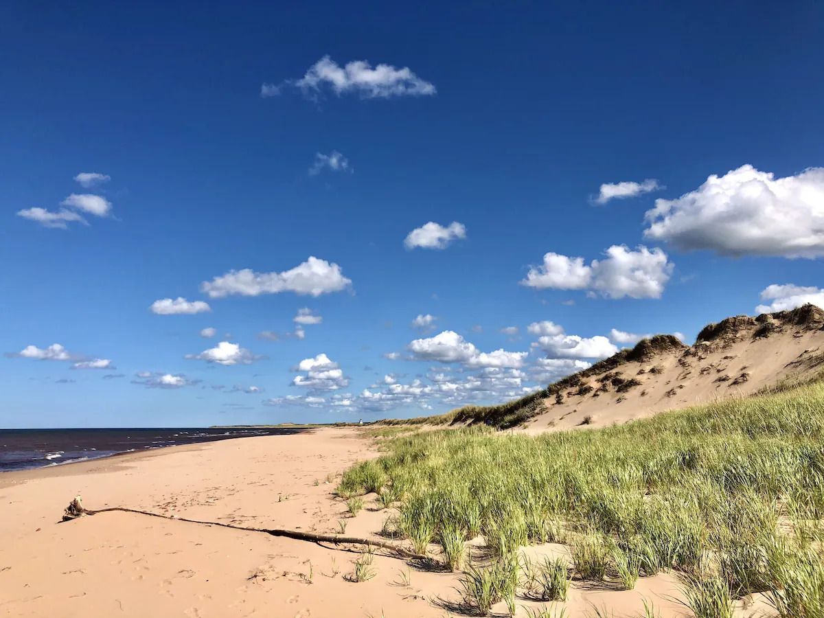 Zandstrand met duinen en groen gras onder een blauwe hemel met verspreide wolken.