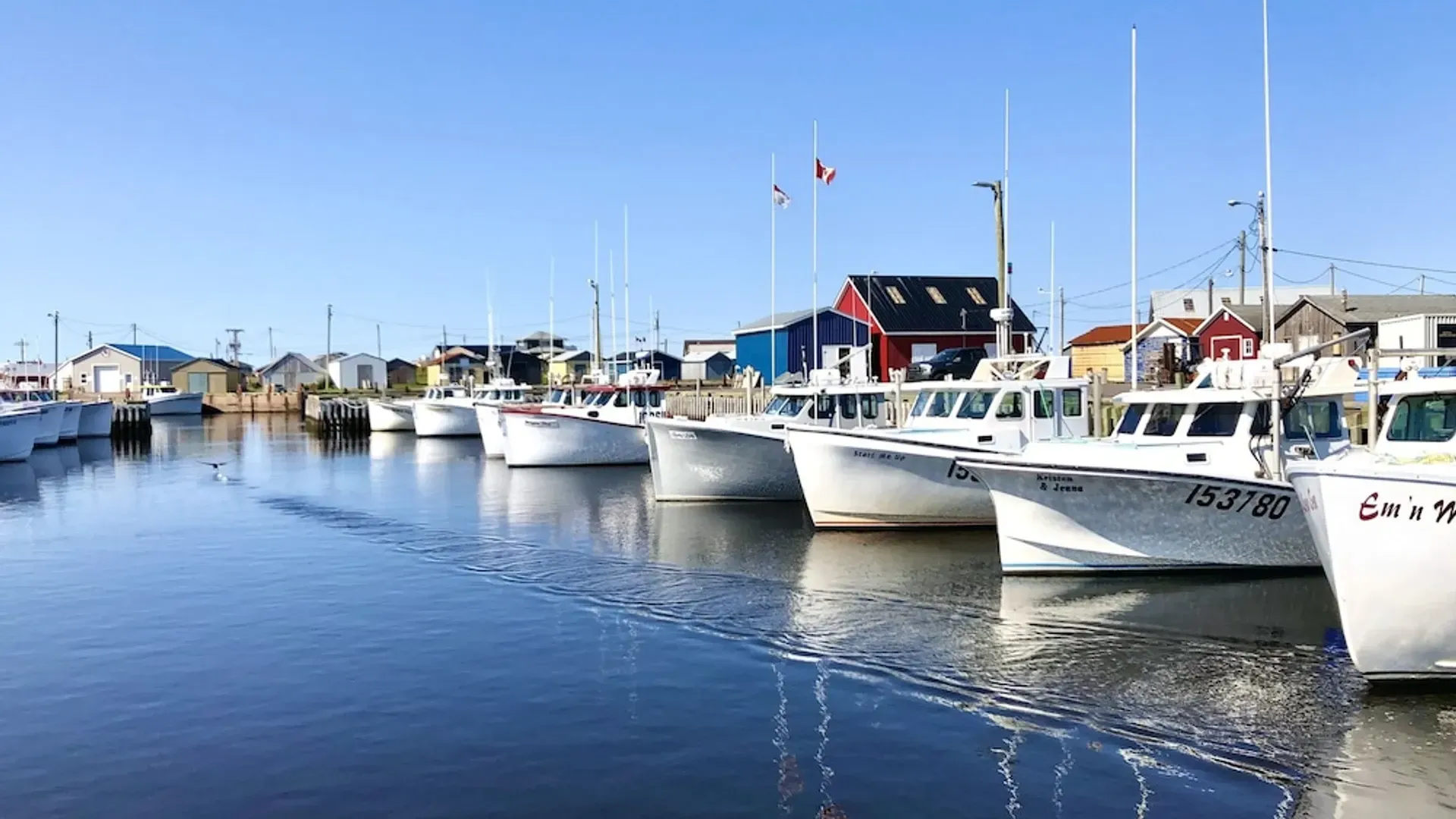 Witte boten liggen aangemeerd in een jachthaven op kalm, blauw water onder een heldere hemel.