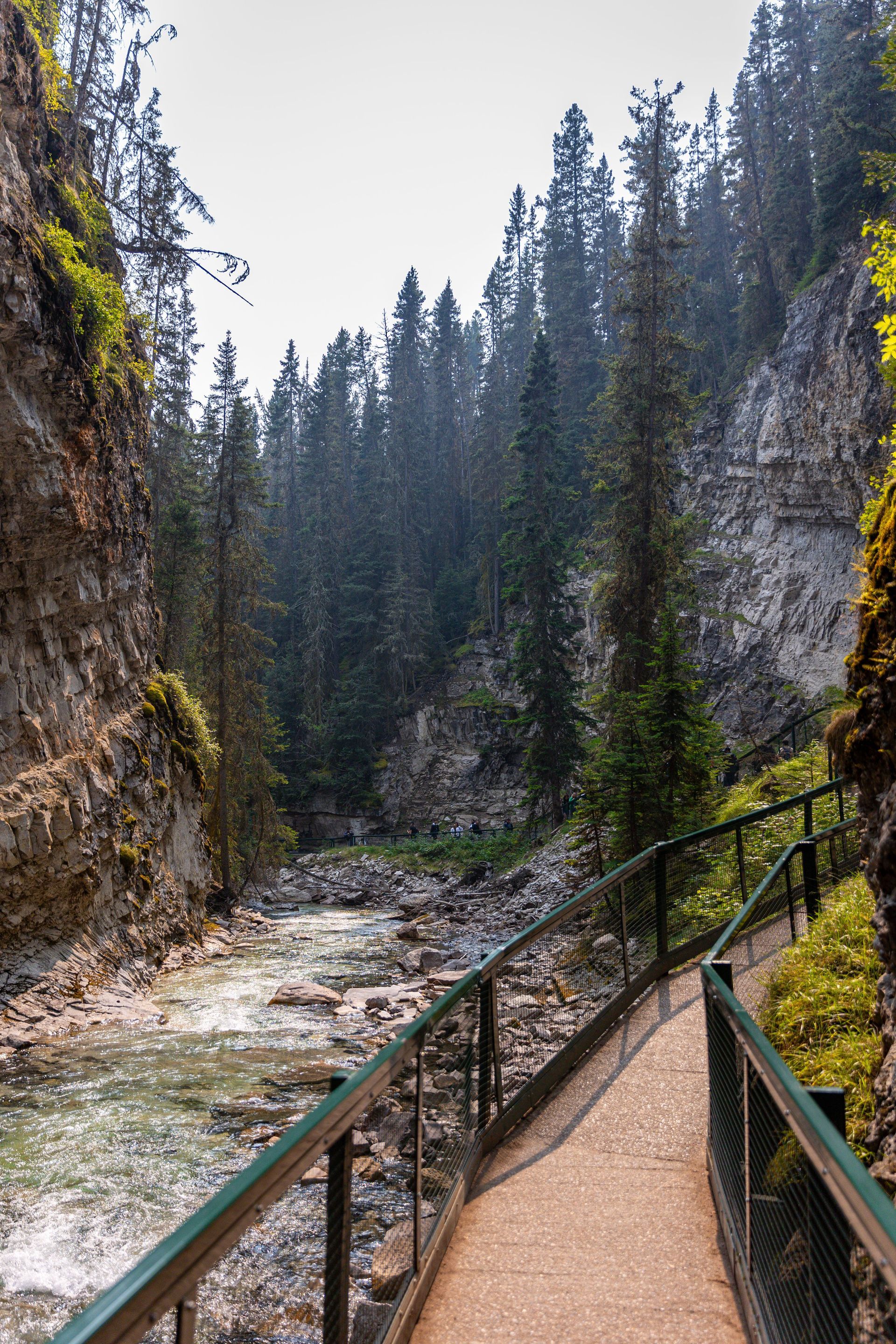 Een pad langs de rivier door een rotsachtige kloof van Johnston Canyon in Banff National  Park met een metalen leuning en hoge dennenbomen.