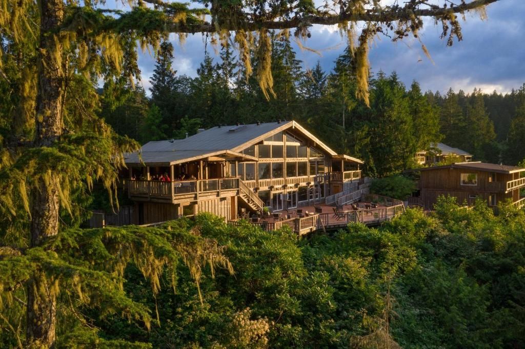 Rustieke lodge op een beboste heuvel bij zonsondergang, omringd door groene bomen en overhangende takken.