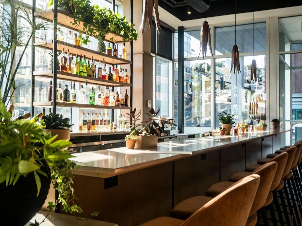 Licht en modern barinterieur met flessenplanken, planten en barkrukken bij grote ramen.