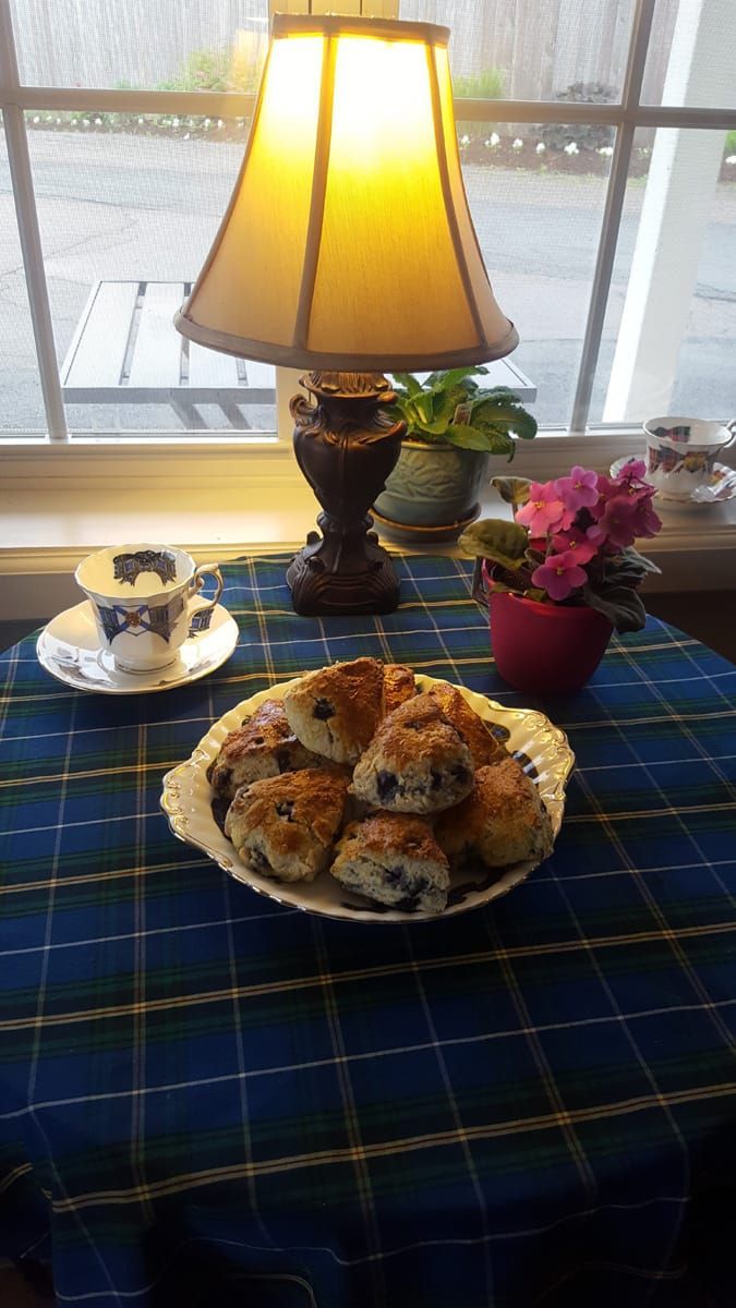 Een tafel bij het raam, verlicht door een lamp, met een blauw geruit tafelkleed, een theekopje, een bord met gebak en kleine potplanten.
