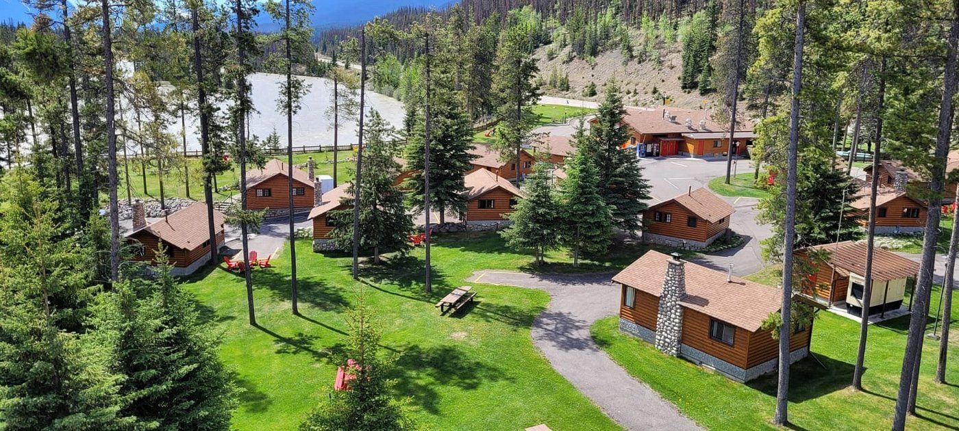 Hutten van Becker's Chalets Jasper verscholen in een groene open plek in het bos, tussen hoge dennenbomen en langs een kronkelend pad onder een helderblauwe hemel.